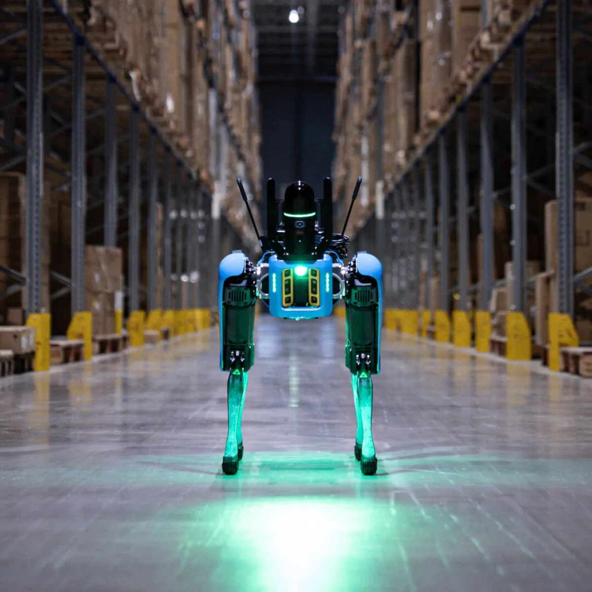 Warehouse robot symmetry