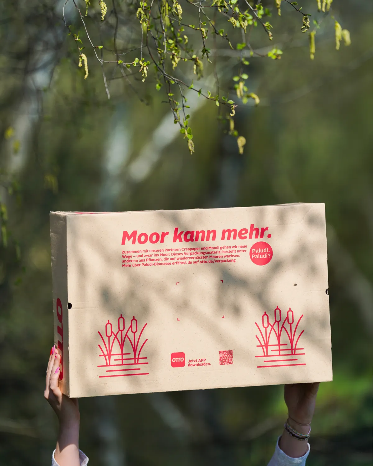 OTTO paludi karton moor